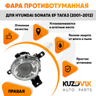 Противотуманная фара правая Hyundai Sonata EF Тагаз (2001-2012) KUZOVIK